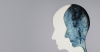 The Disqualification Appeals logo in the top left corner and on the right side is a silhouette of a person's head, indicating that the piece is related to something mental or psychological.